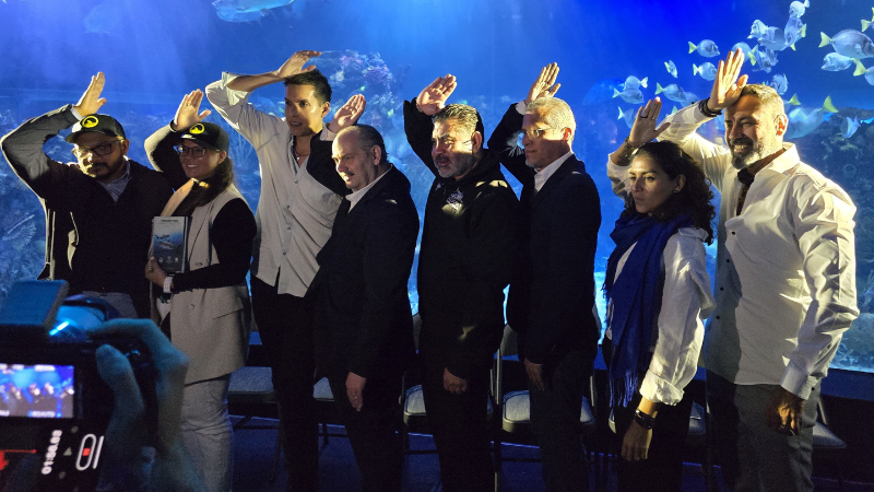 Tiburones en peligro: exposición inmersiva en el Acuario Inbursa promueve su conservación