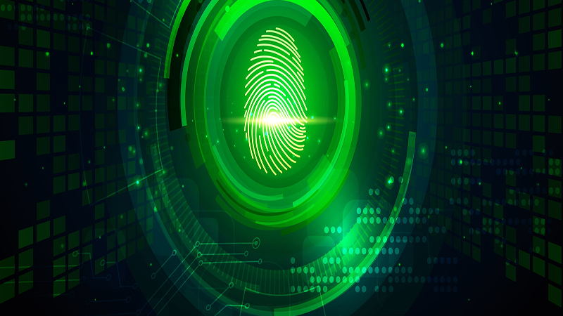 Ciberseguridad en México: proteger los datos de los ciudadanos, un desafío clave