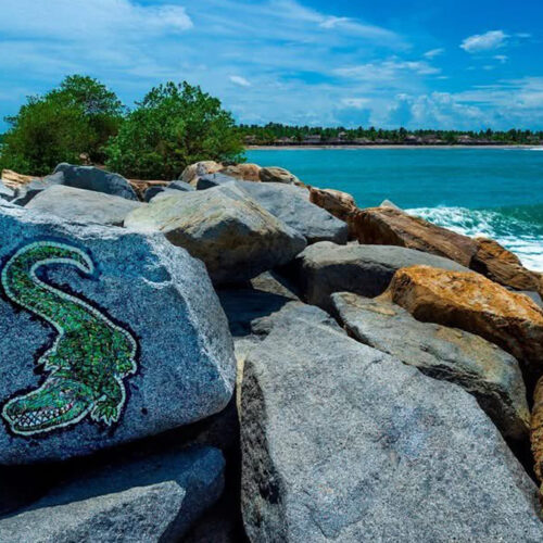 Chacahua es el santuario natural que redefine el turismo de aventura en Oaxaca