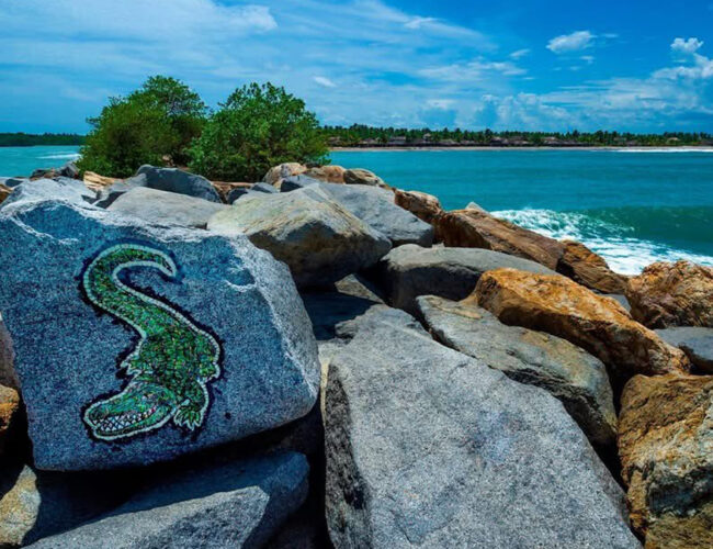 Chacahua es el santuario natural que redefine el turismo de aventura en Oaxaca