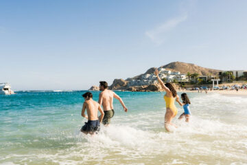Niñez y biodiversidad se encuentran en la oferta educativa de Los Cabos