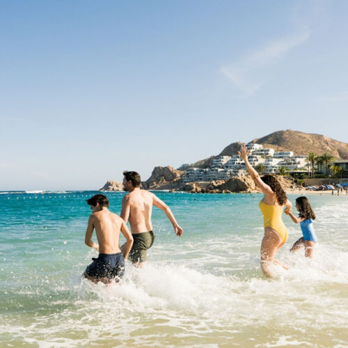 Niñez y biodiversidad se encuentran en la oferta educativa de Los Cabos