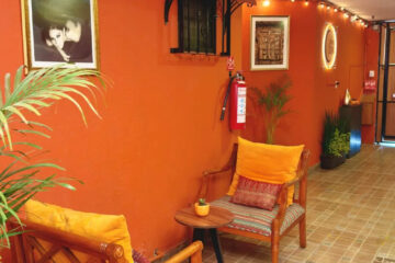 Coyoacán estrena un santuario de hospitalidad boutique y diseño bohemio