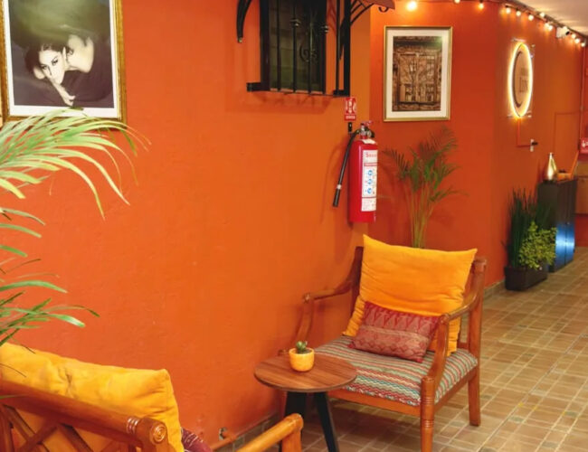 Coyoacán estrena un santuario de hospitalidad boutique y diseño bohemio