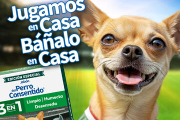 Cómo preparar a tu mascota para disfrutar del fútbol en casa sin estrés