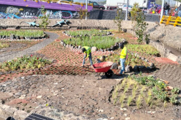 Jardín de Lluvia Coapan transforma la gestión del agua pluvial en el sur de la CDMX